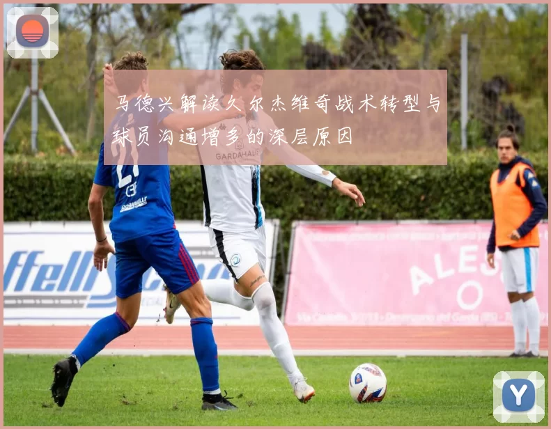马德兴解读久尔杰维奇战术转型与球员沟通增多的深层原因