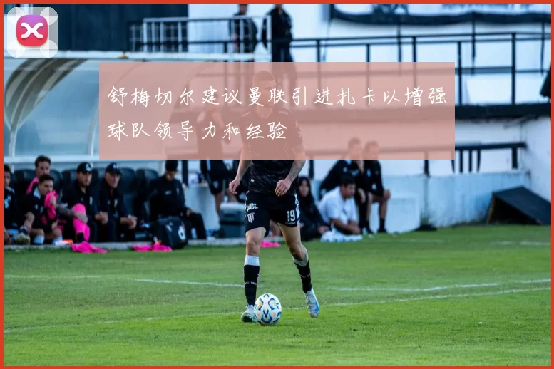 舒梅切尔建议曼联引进扎卡以增强球队领导力和经验